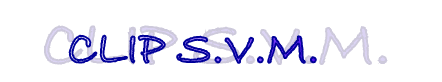 CLIP S.V.M.
